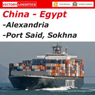 Shipping Agent/Service Shipping/Sea Freight to Alexandria, Port Said, Ashdod, Lattakia